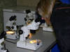 Highlight for Album: Fraser Valley Trout Hatchery Open House