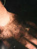 071016-18