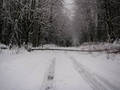 f'droad