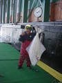 Highlight for Album: Langara fishing pics