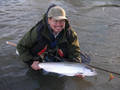 Highlight for Album: Steelhead