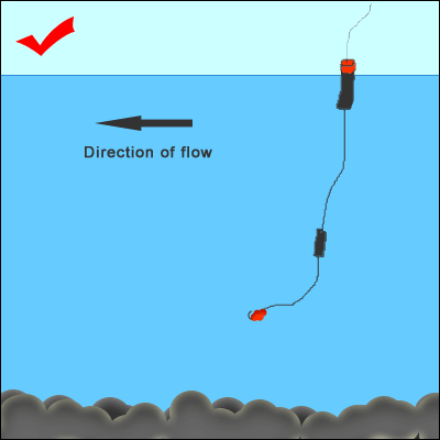 2007 Chilliwack River fall salmon information