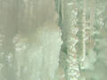 DSCF0291