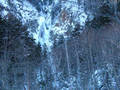 DSCF0323
