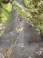IMAG0056