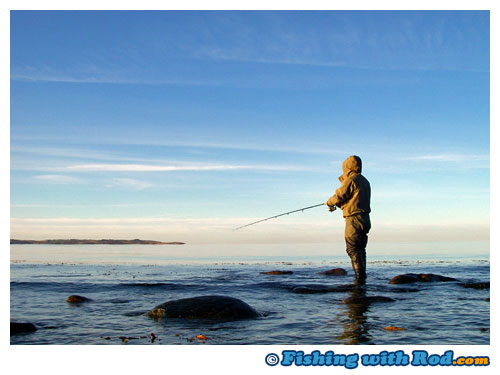 Casting into the calm sea.