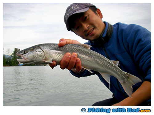 http://www.fishingwithrod.com/albums/blog-2010/101013-02.jpg