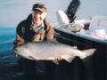 Gwynn's chinook salmon