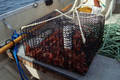 Prawns 