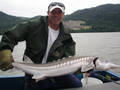 Tim and his Sturgeon