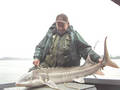 my first sturgeon
