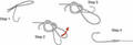 Palomar Knot