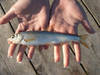Highlight for Album: Fishing