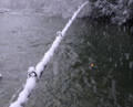 snow