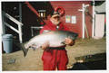 47 lb silver bright spring