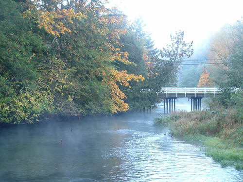 Sweltzer Creek in Fall Colours