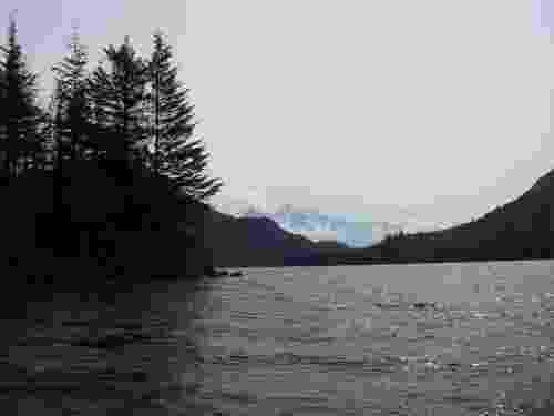 Hicks Lake, May 2008