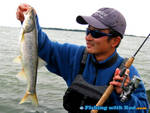 Estuary northern pikeminnow