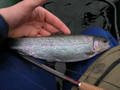 DSCN0235