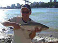 Lower Fraser Pink (Sept. 2007)