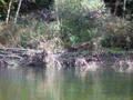 IMGP0005