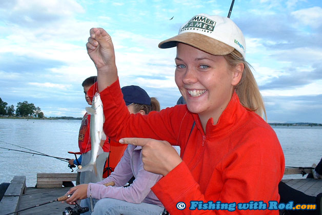 Catching coarse fish in the Tidal Fraser can be a fun pastime Catching coarse fish in the Tidal Fraser can be a fun pastime
