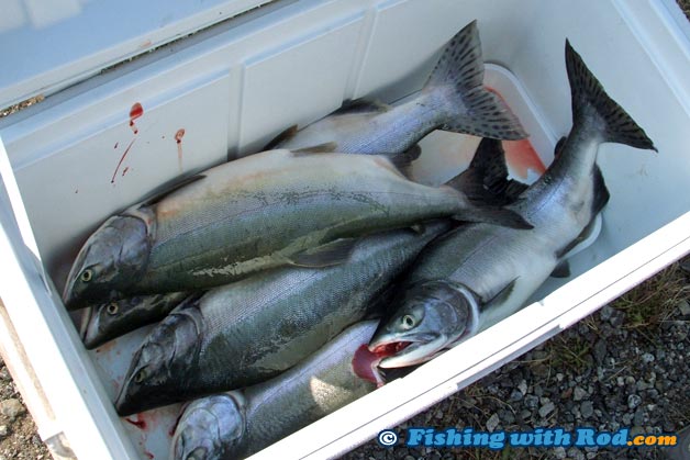 This productive fishery is perfect for the whole family This productive fishery is perfect for the whole family