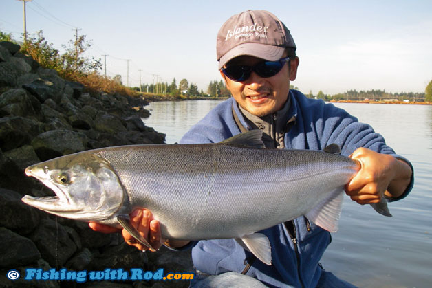 Tidal Fraser River coho salmon Tidal Fraser River coho salmon