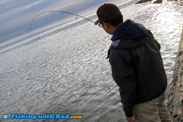 A light spincasting setup produces the most enjoyable when targeting bull trout, cutthroat trout and northern pikeminnow in the Tidal Fraser A light spincasting setup produces the most enjoyable when targeting bull trout, cutthroat trout and northern pikeminnow in the Tidal Fraser
