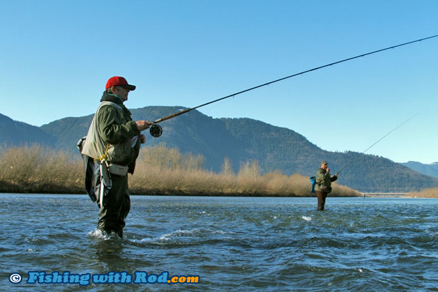 Volunteer Chilliwack River steelhead broodstock anglers Volunteer Chilliwack River steelhead broodstock anglers