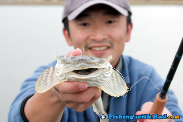 Sculpin may look ugly, but you need to release it safely