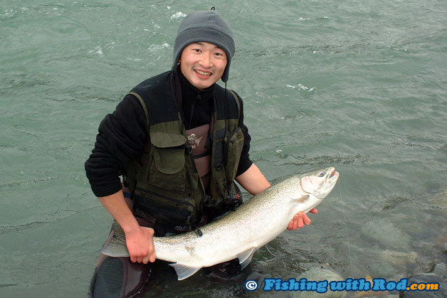 Chilliwack River steelhead