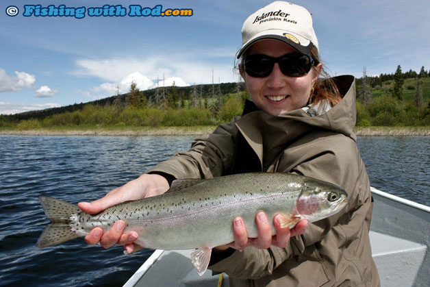 Beautiful rainbow trout in a BC lake.