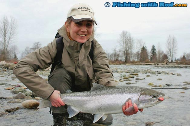 This large winter steelhead is the ideal specimen for posing with an angler to bring out its true size This large winter steelhead is the ideal specimen for posing with an angler to bring out its true size