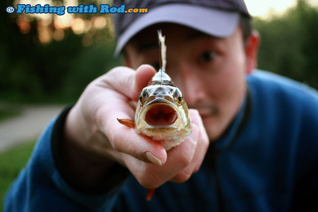 Fishing photography Fishing photography