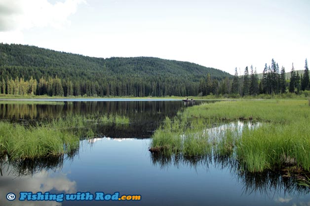 Chicken Ranch Lake brook trout fishing in Kane Valley BC Chicken Ranch Lake brook trout fishing in Kane Valley BC
