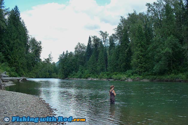 Eagle River trout fishing near Sicamous BC Eagle River trout fishing near Sicamous BC