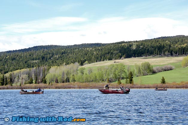 Rainbow trout fishing at Gwen Lake in Merritt BC Rainbow trout fishing at Gwen Lake in Merritt BC