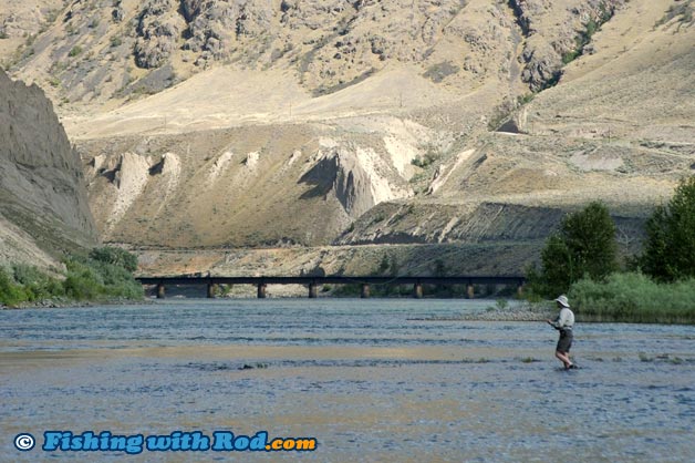 Thompson River fly fishing between Kamloops Lake and Spences Bridge Thompson River fly fishing between Kamloops Lake and Spences Bridge