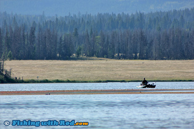 Rainbow trout fishing at Tunkwa Lake BC Rainbow trout fishing at Tunkwa Lake BC