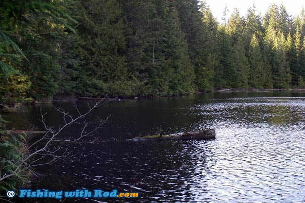 Edith Lake is in Alice Lake Provincial Park Edith Lake is in Alice Lake Provincial Park