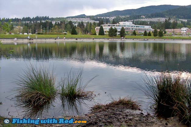 Lafarge Lake in Coquitlam BC Lafarge Lake in Coquitlam BC