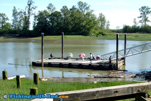 Fishing at No. 2 Road Pier in Richmond BC