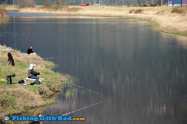 Sturgeon Slough in Pitt Meadows BC Sturgeon Slough in Pitt Meadows BC