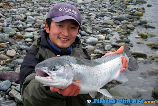 A hatchery winter steelhead from Chilliwack River A hatchery winter steelhead from Chilliwack River