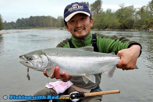 A fresh coho salmon taken by a spinner under the float