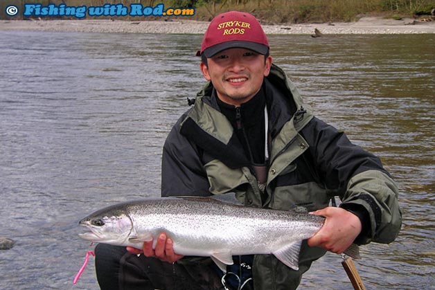 A fresh steelhead caught on a large pink worm
