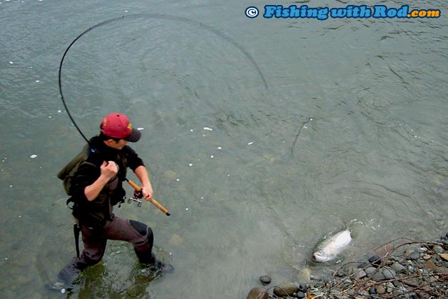 Landing a large coho salmon Landing a large coho salmon