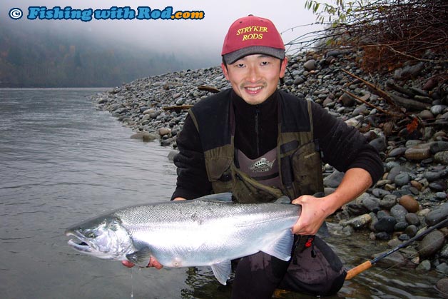 A solid coho salmon caught on a spoon A solid coho salmon caught on a spoon