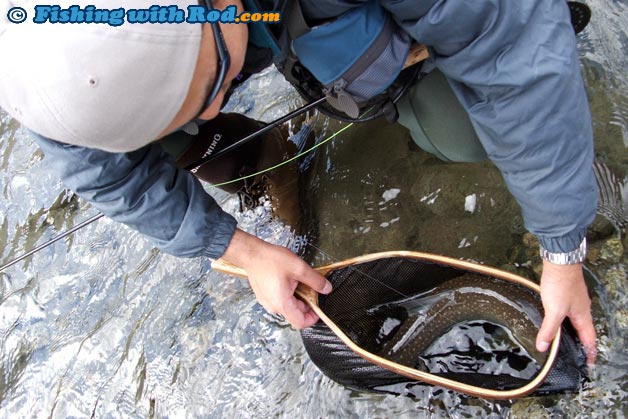 A small to medium catch and release net allows you to handle the fish with care. All wild trout and char are required to be released in Southern BC to ensure the survival of their population A small to medium catch and release net allows you to handle the fish with care. All wild trout and char are required to be released in Southern BC to ensure the survival of their population